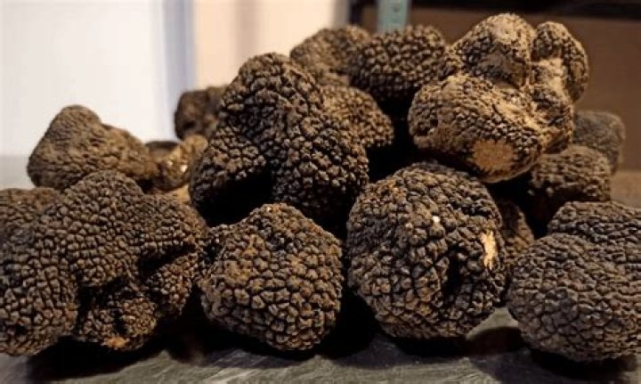 What does truffle smell like?