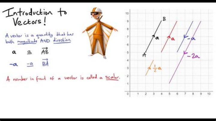 What does Vector Capital do?