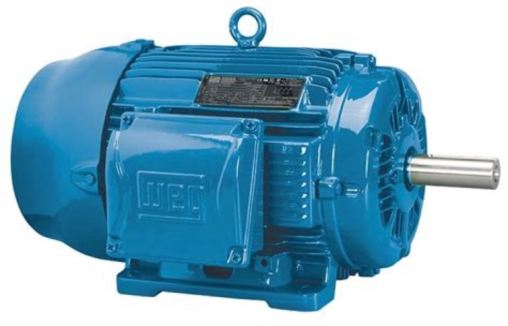What does WEG motors stand for?