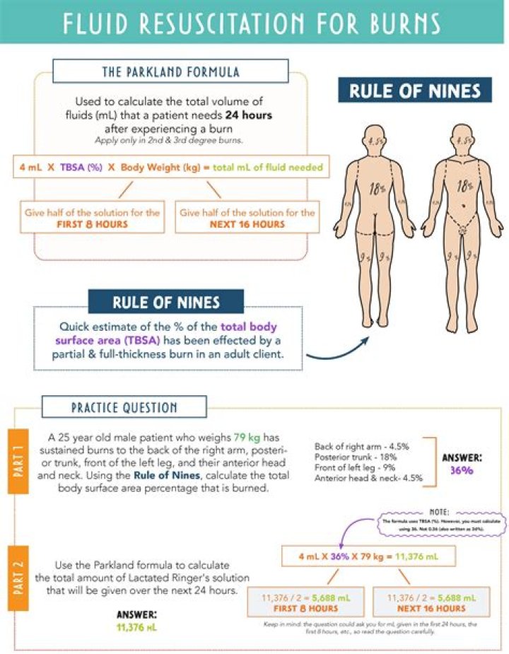 What fluid do you give a burn patient?