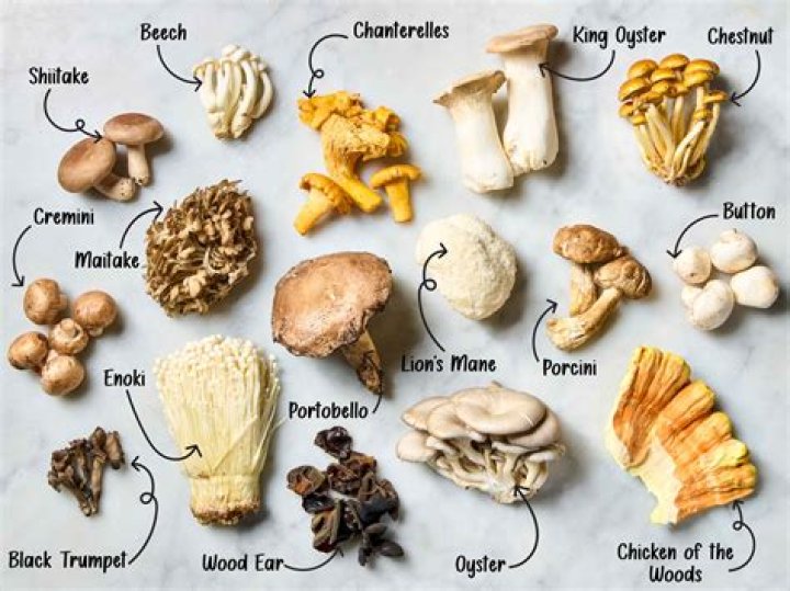 What food group does mushroom belong to?