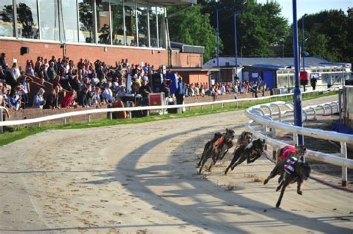 What happened to the dog track in Hudson Wisconsin?