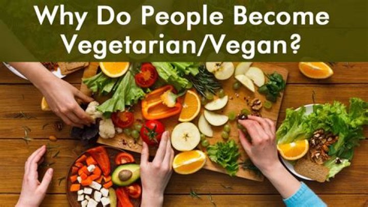 What happens when you become vegan