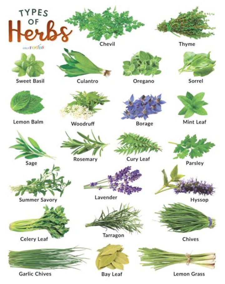 What herbs are native to the UK?
