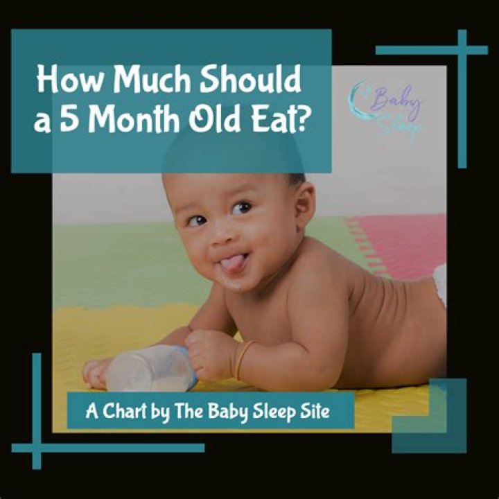 What is a 5 month old baby supposed to be doing?