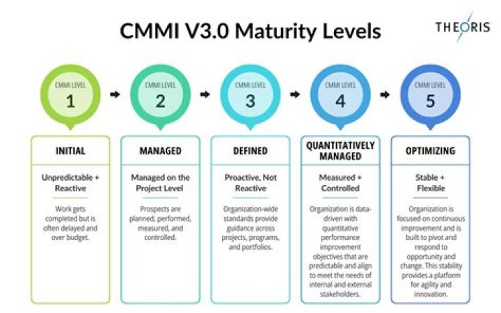 What is a CMM Level 5 company?