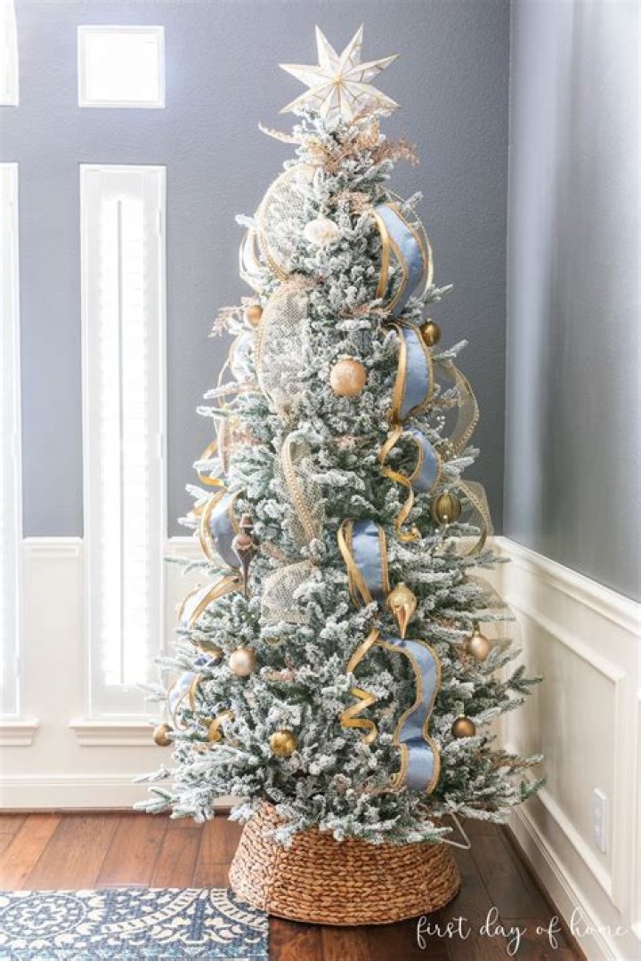 What is a flocked dashboard?