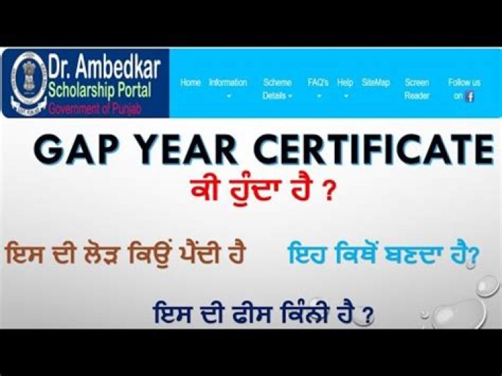What is a gap year certificate?