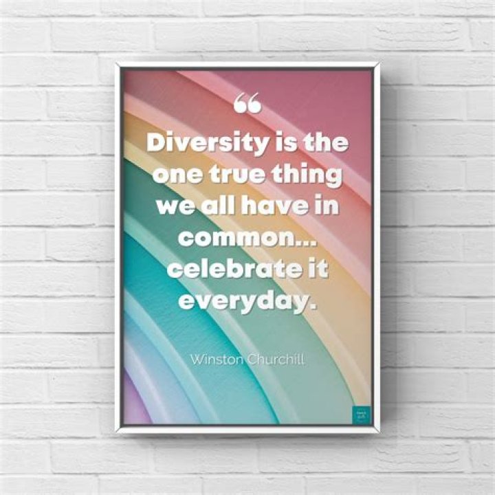 What is a good diversity quote?