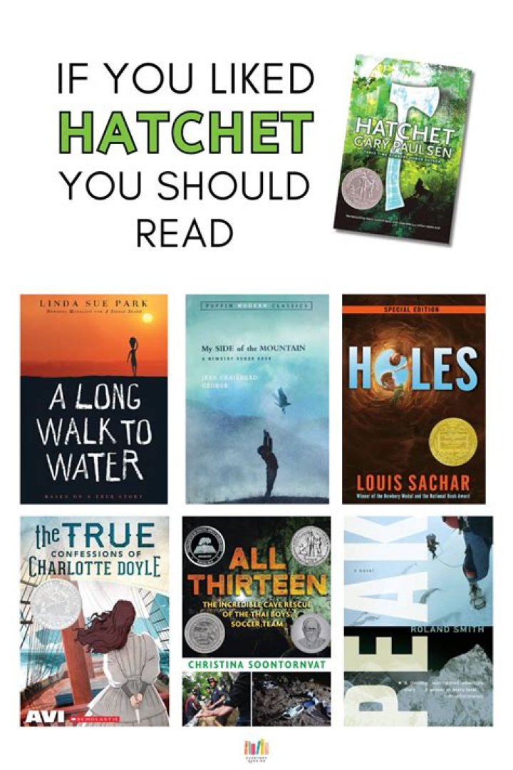 What is a good summary for the book hatchet?