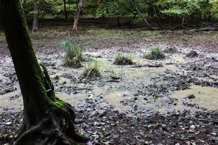 What is a mud pit?