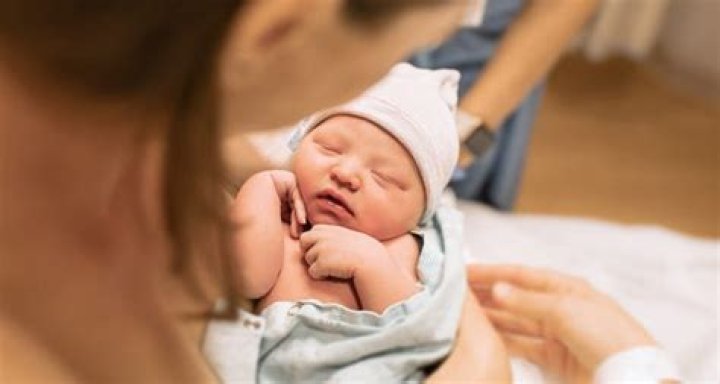 What is a placenta teddy bear?