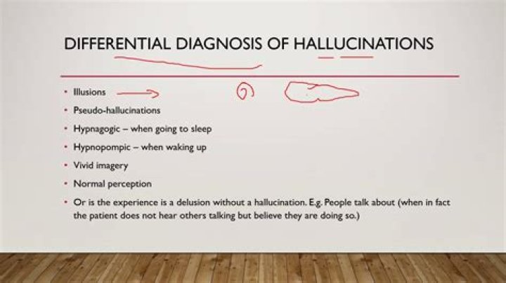 What is a Pseudohallucination?