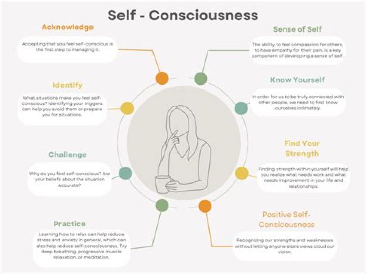 What is a self conscious narrator?