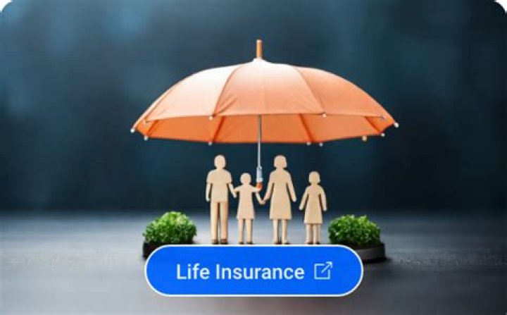 What is a service plan insurance?