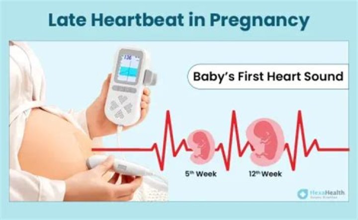 What is a strong heartbeat at 20 weeks?