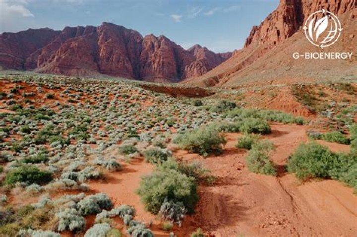 What is a temperate desert?