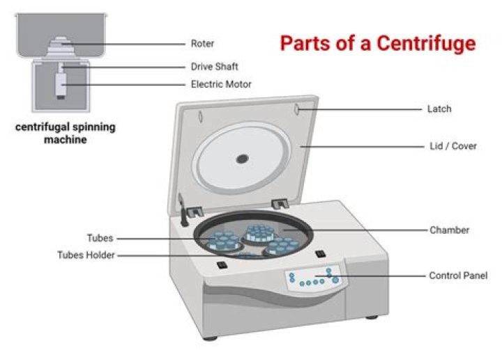 What is a trunnion on a centrifuge?