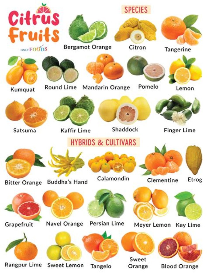 What is a word for citrus fruit?