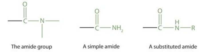 What is an amide group?