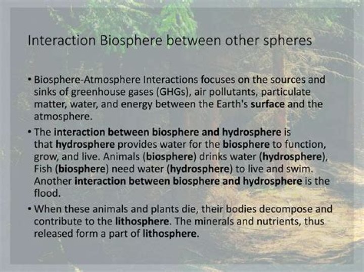 What is an example of an interaction between the biosphere and the atmosphere?