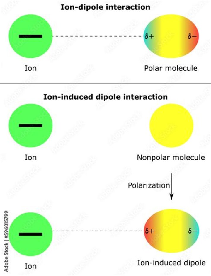 What is an example of an ion dipole interaction?