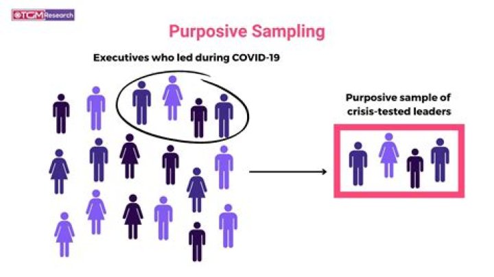 What is an example of purposive sampling?