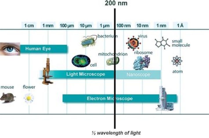 What is angular resolution of the human eye?