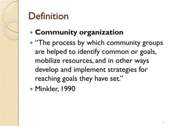 What is community organization theory?