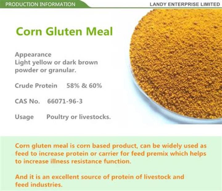 What is corn gluten feed
