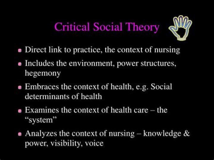What is critical social theory?
