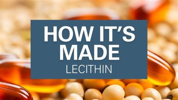 What is egg yolk lecithin?