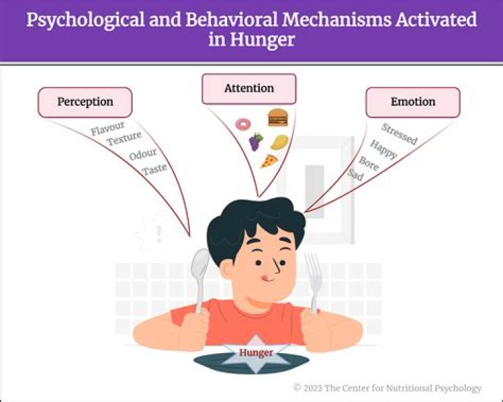 What is hunger motivation in psychology?