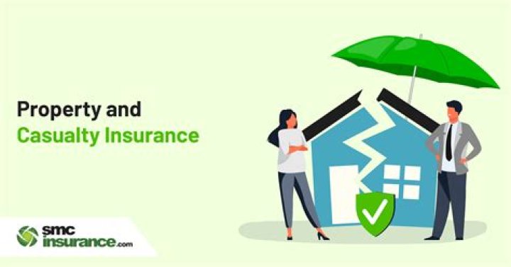 What is IDS Property Casualty Insurance Company?