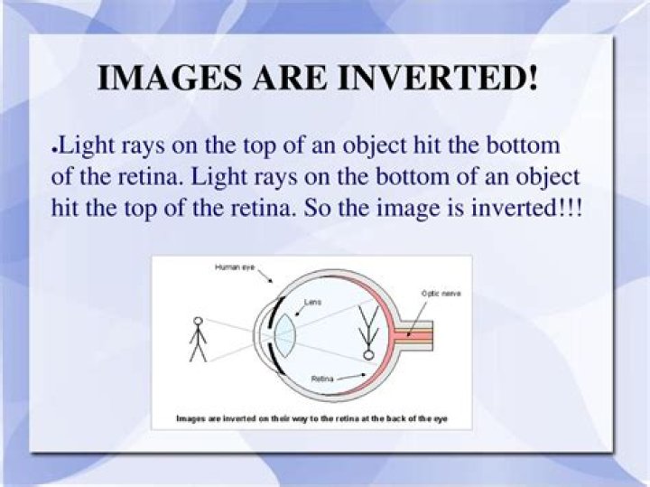 What is inverted vision?