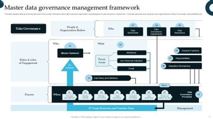 What is MDM governance?