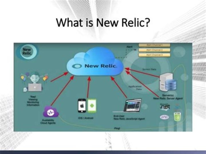 What is new relic browser