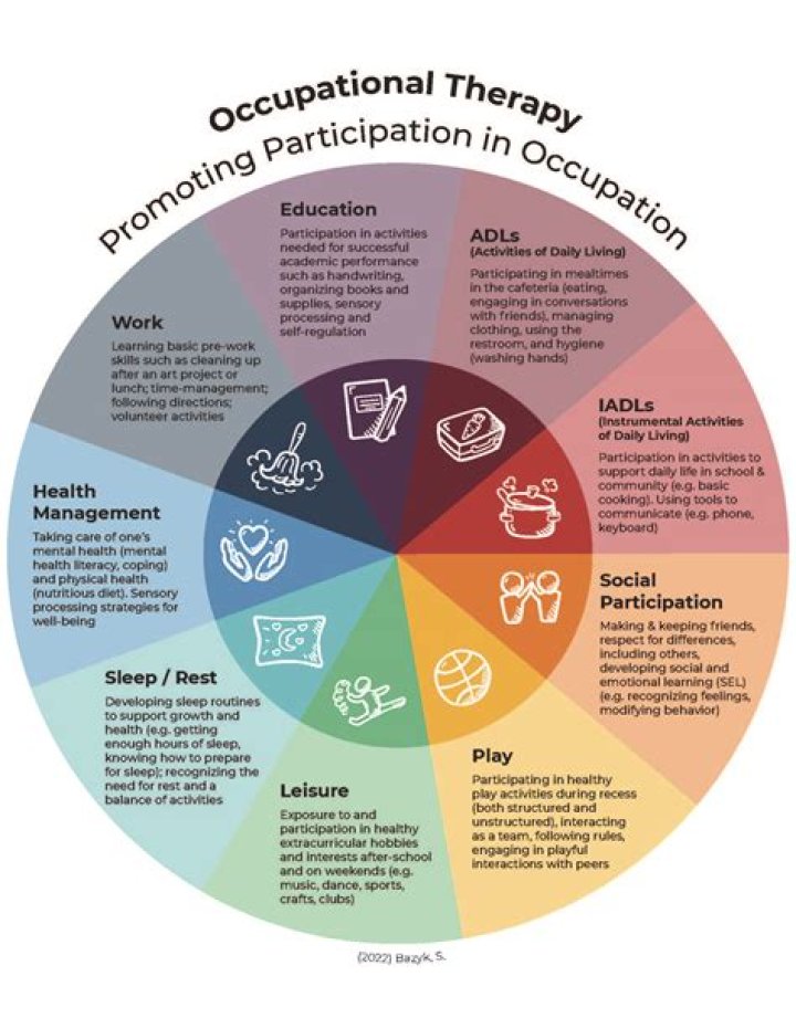 What is occupational performance and participation?