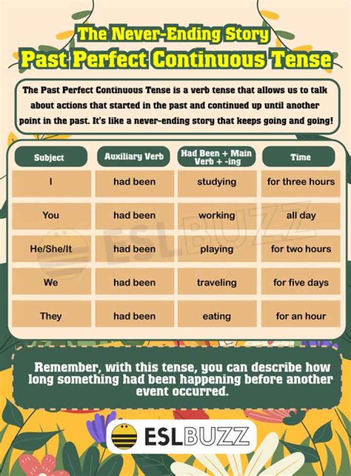 What is past perfect continuous with examples?