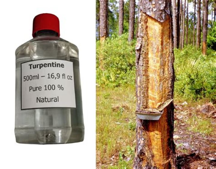 What is pure gum turpentine used for?