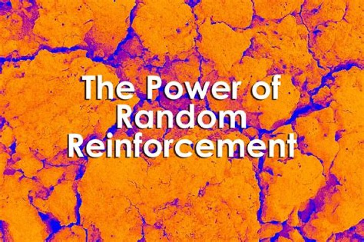 What is random reinforcement?