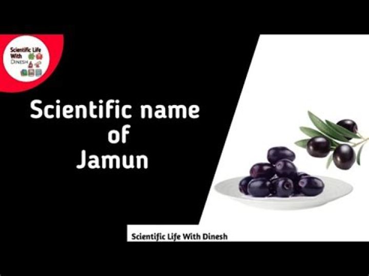 What is scientific name of jamun?