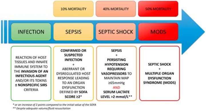 What is severe sepsis criteria?
