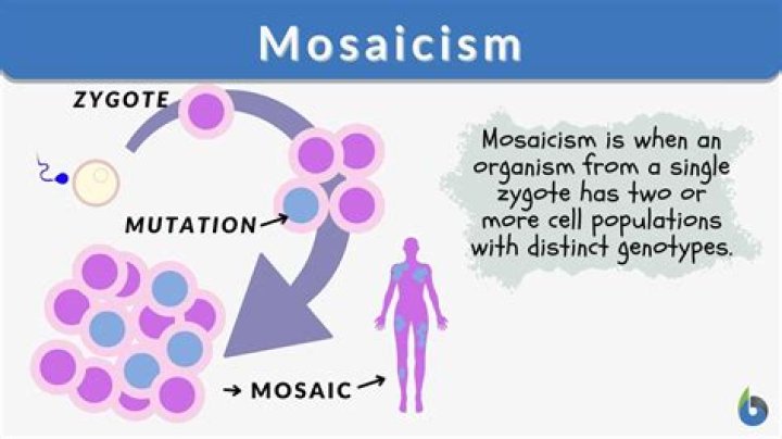 What is Somatic mosaicism?