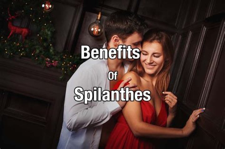 What is spilanthes tincture good for?