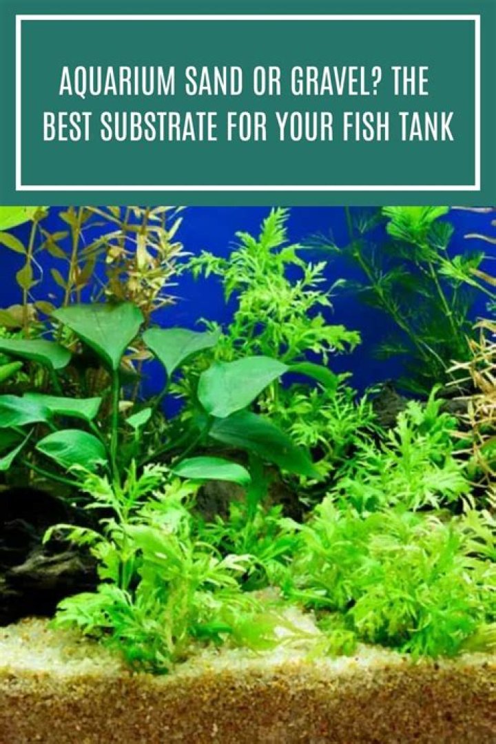 What is the best fish tank gravel