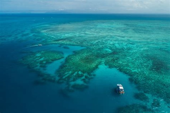 What is the best month to visit the Great Barrier Reef?