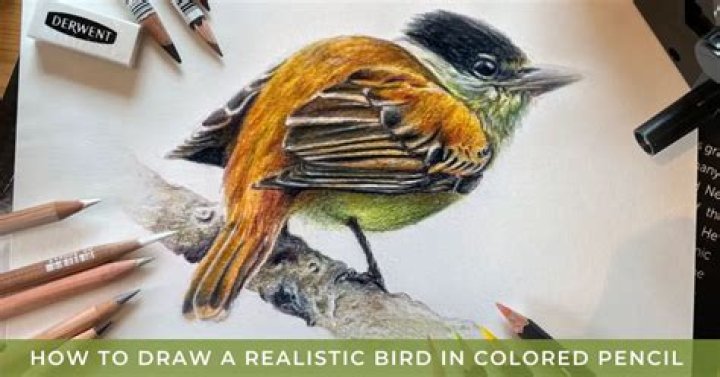 What is the best pencil for realistic drawing?