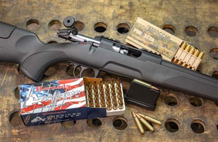 What is the best powder for Remington 222?