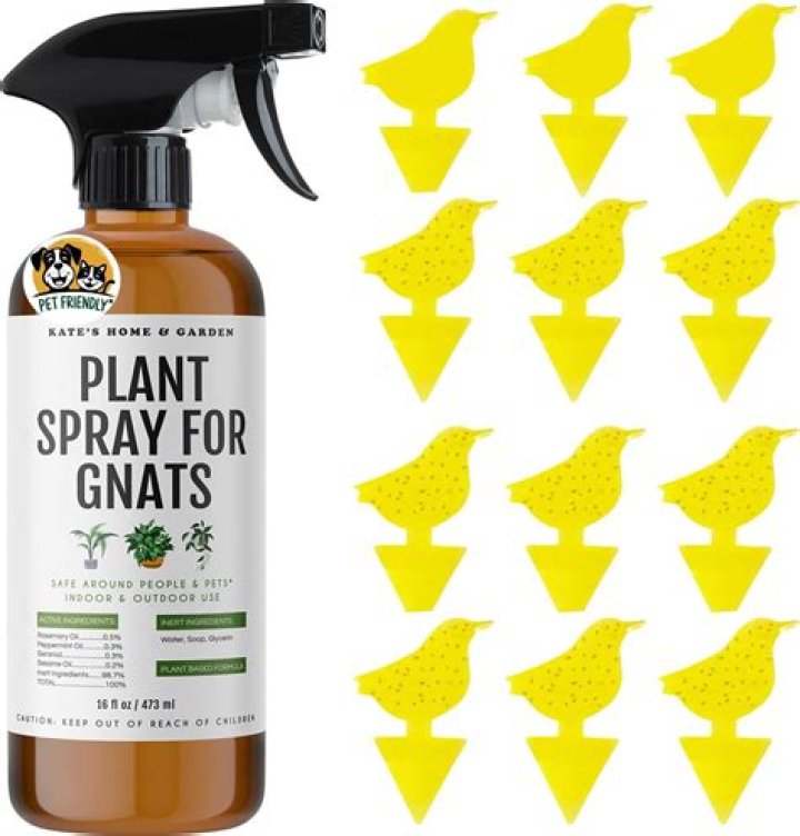 What is the best spray for black widows?